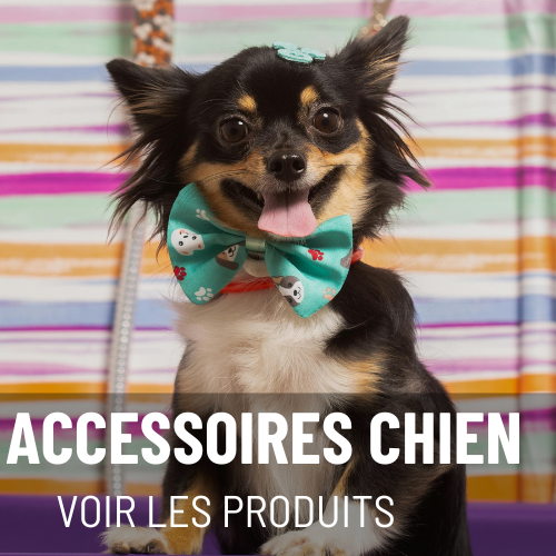 ACCESSOIRES CHIEN