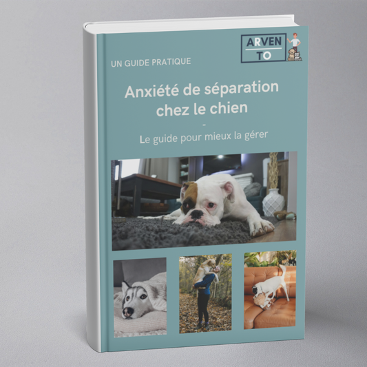 E-book - Anxiété de séparation chez le chien