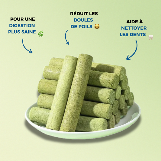 GREENBITE™ – Le snack bien-être pour un chat en pleine forme