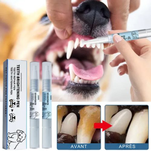 DENTIPET™ — Stylo de réparation et de blanchissement pour animaux