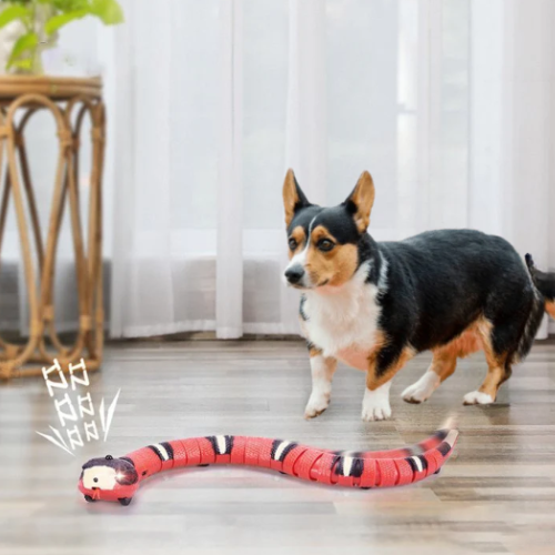 LE SERPENT FOU — Jouet interactif pour animaux de compagnie