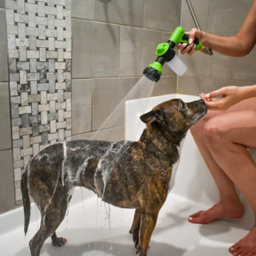 AQUAPUP™ — Douchette haute pression pour chiens