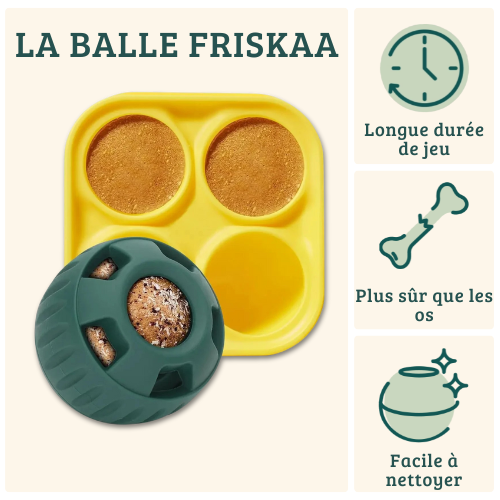 FRISKAA – La balle qui stimule, apaise et régale votre chien