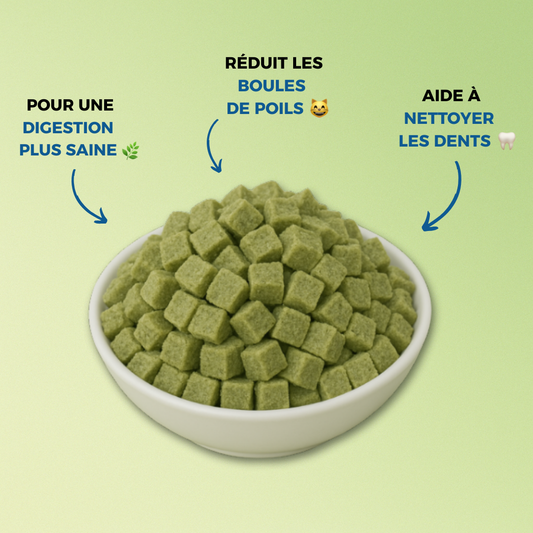 GREENBITE™ CUBES – Les bouchées bien-être pour un chat en pleine forme (60g)