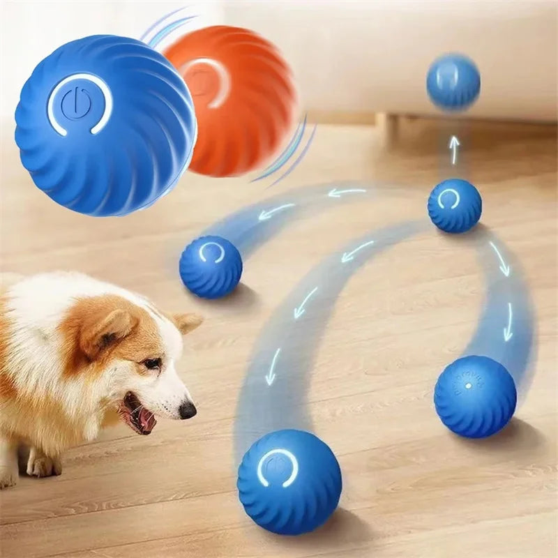 cat toy interactive ball