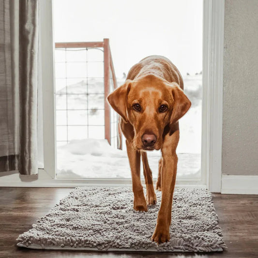 PAWMAT™ — Tapis absorbant et antidérapant pour chiens